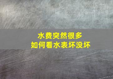 水费突然很多 如何看水表坏没坏